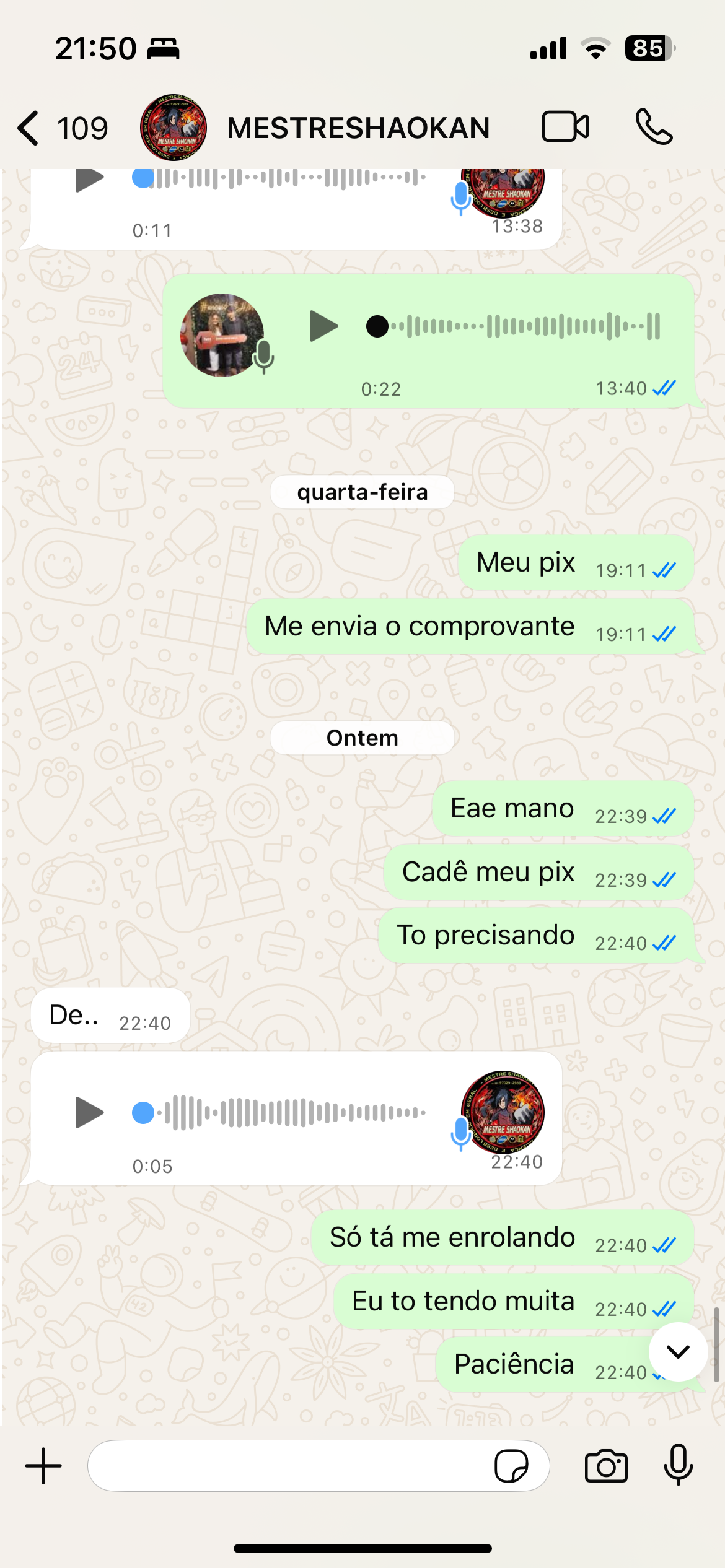 Mestre shaokan
